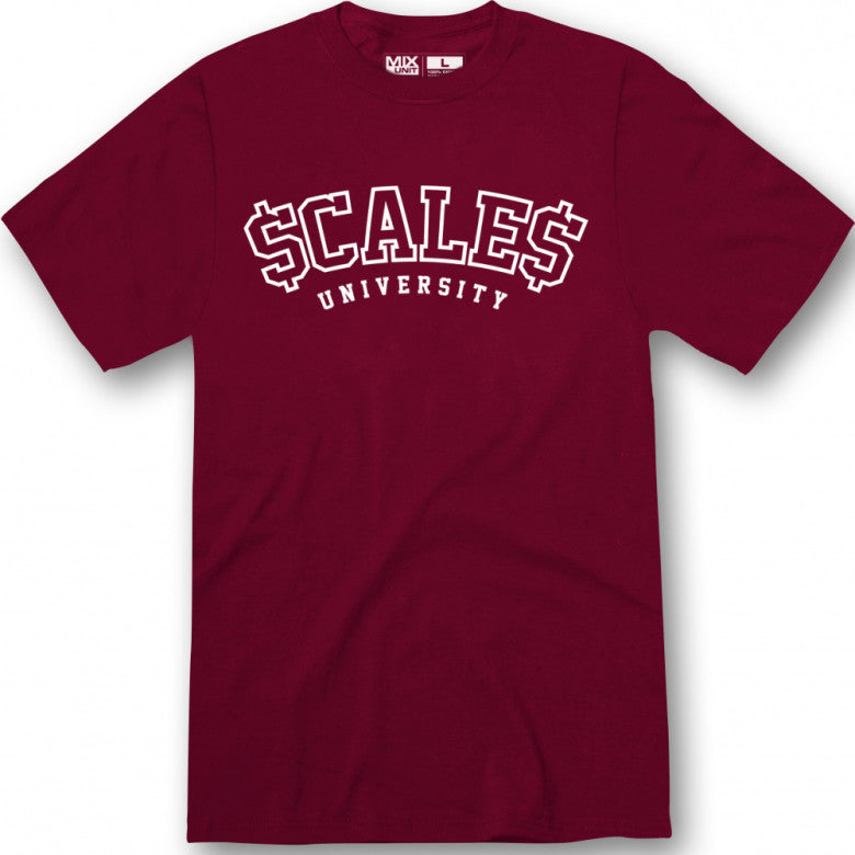$CALE$ university